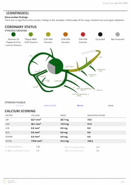 CVIReport00002_Page_2-1