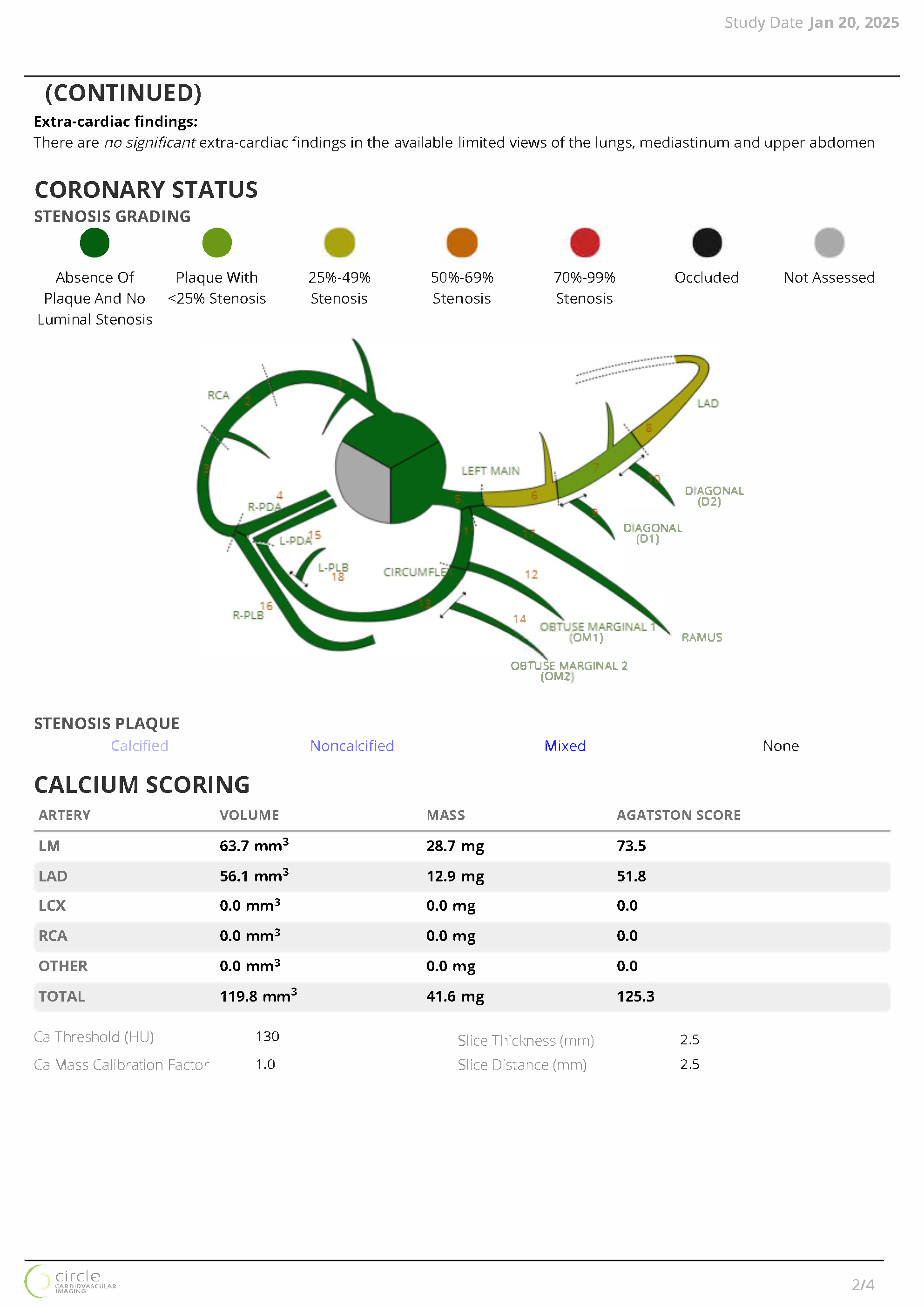CVIReport00002_Page_2