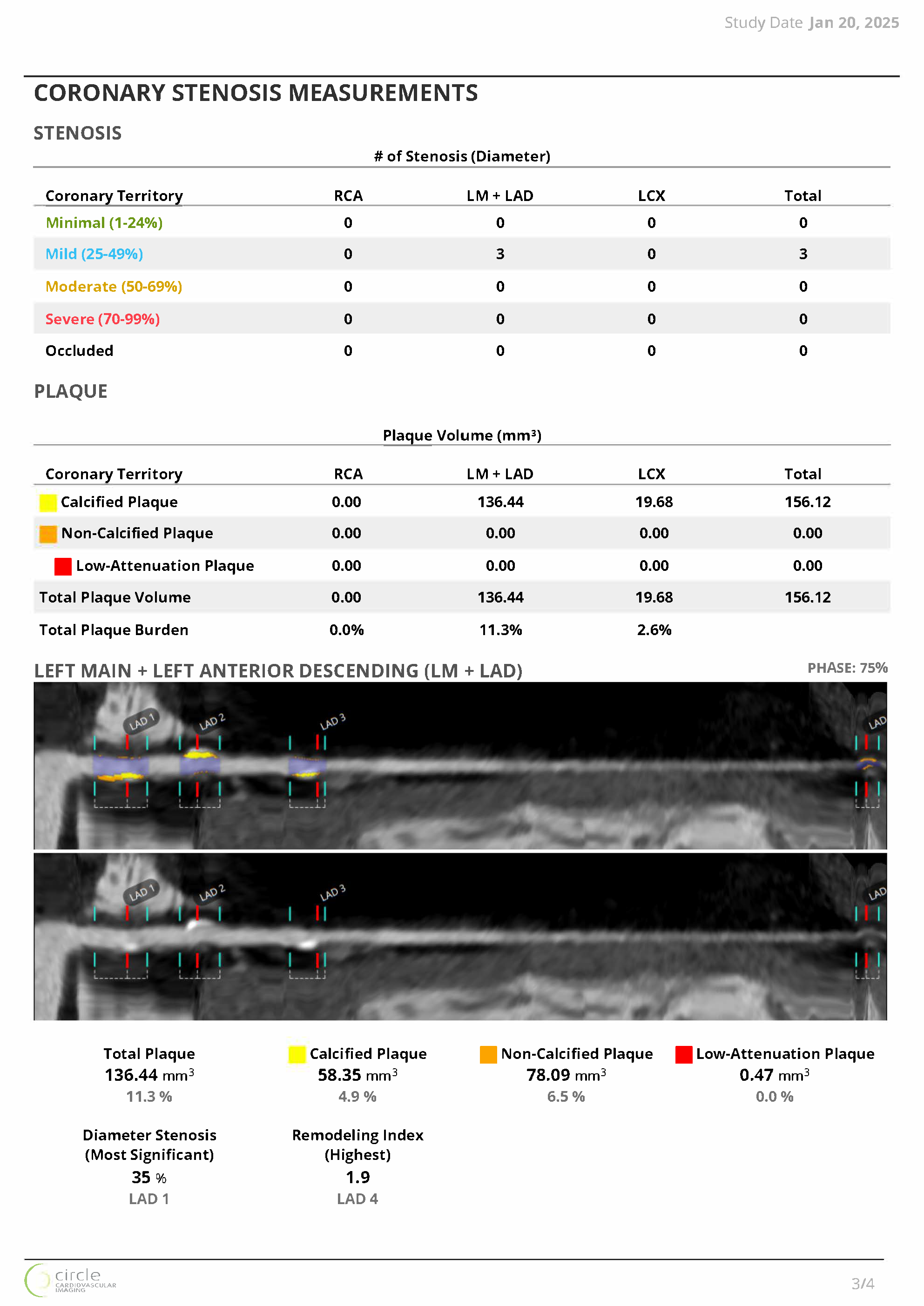 CVIReport00002_Page_3